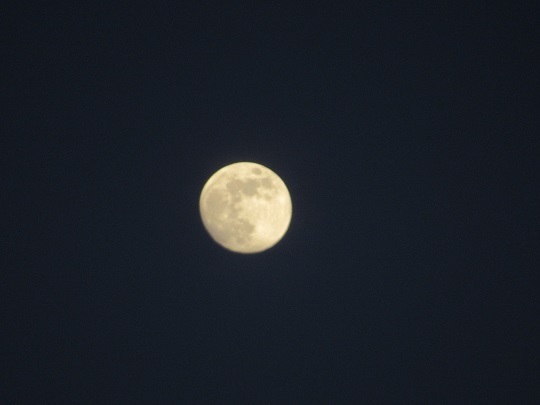 夕陽と月 (1).JPG