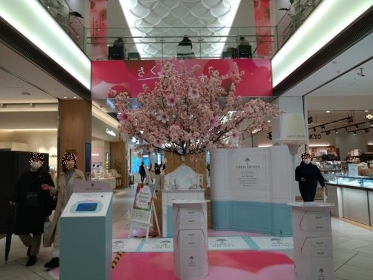 大きな桜3.jpg
