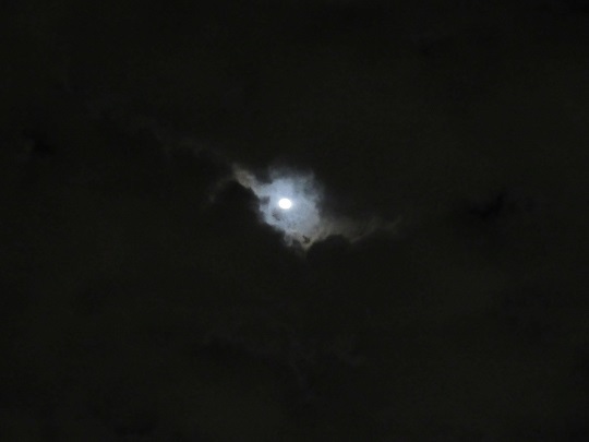 月に雲.JPG