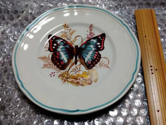 蝶のお皿.jpg
