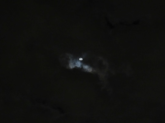 雲に月.JPG